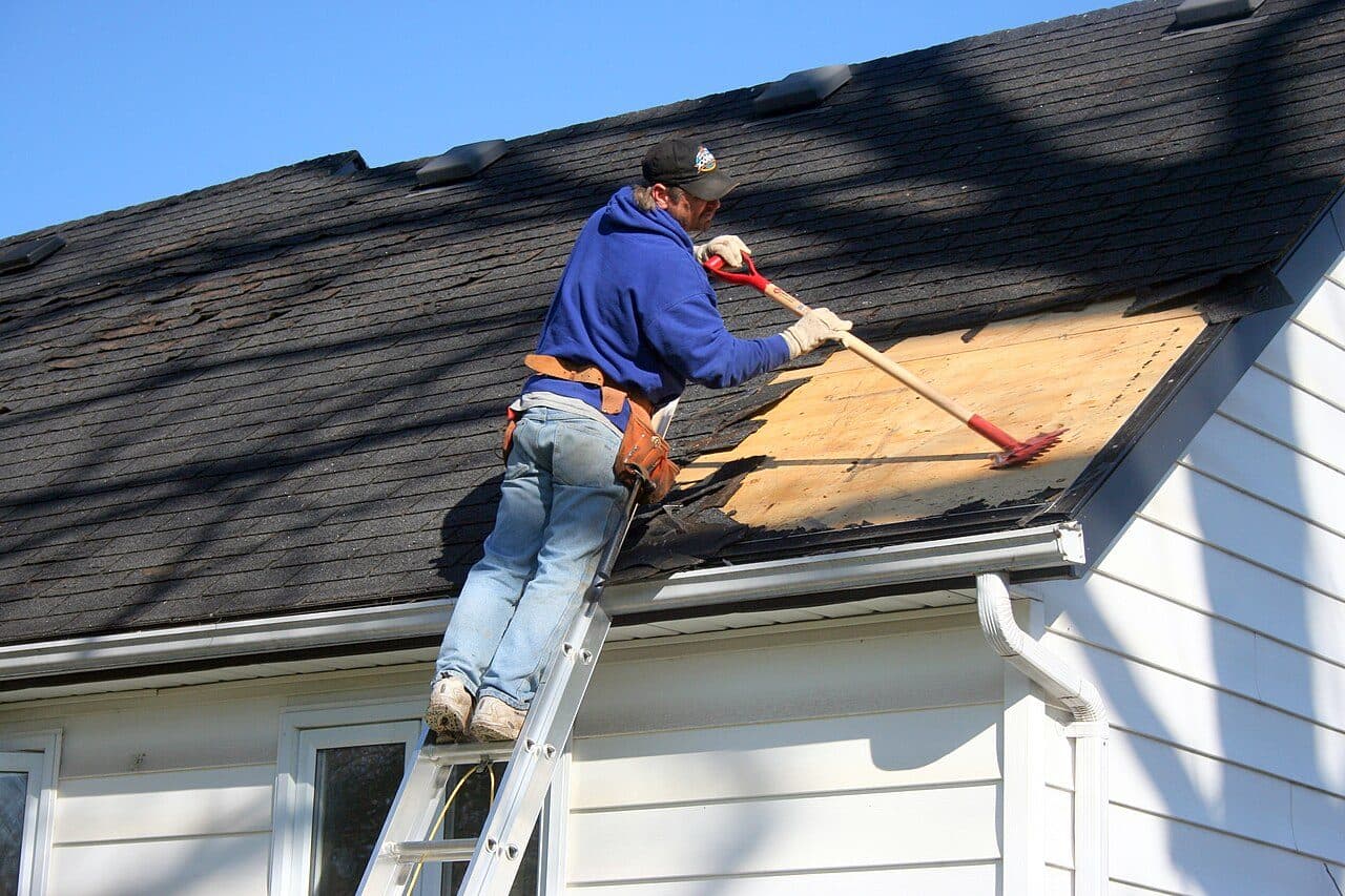 Roofer on a ladder stripping damaged shingles above a gutter